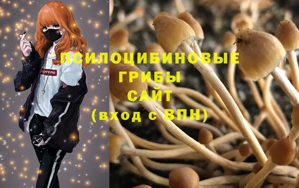 круглые Покачи