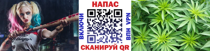 Каннабис индика  Нариманов 